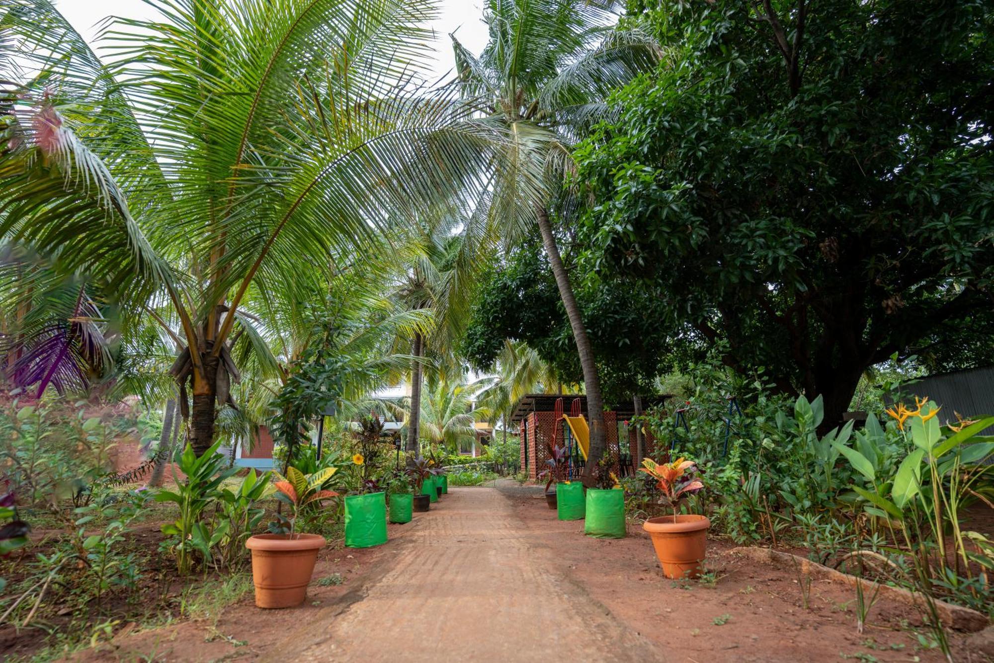 Claynest Resorts Kuttālam Exterior foto